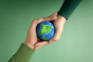 consulenza in materia ambientale