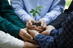 consulenza ambientale aziende